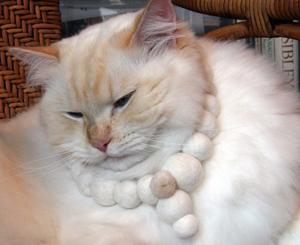 Illustration for article titled $130 Necklace Is Made Of Cat Hair